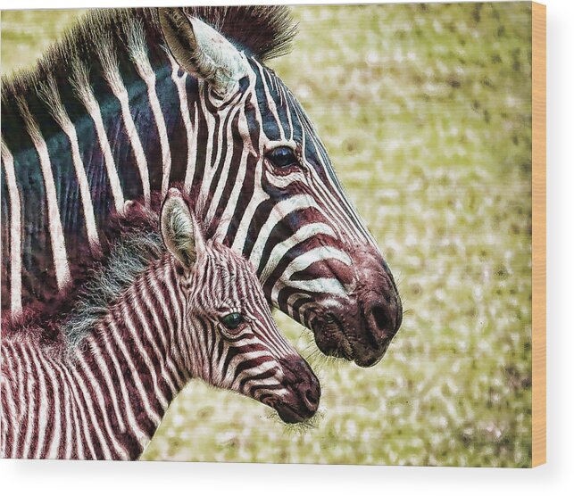 Zebra Wood Print featuring the photograph Big and little by Jaki Miller