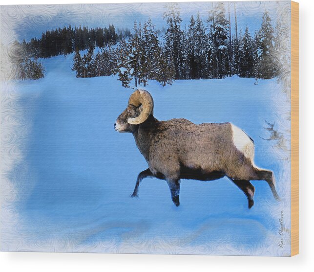 Bighorn Sheep Wood Print featuring the digital art Bighorn Ram by Kae Cheatham