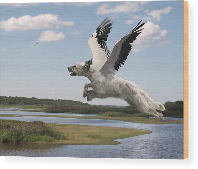 Bird Wood Print featuring the digital art Bird Dog by Rick Mosher
