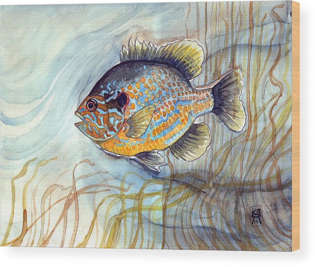 Bluegill Fish Wood Print featuring the painting Bluegill by Katherine Miller