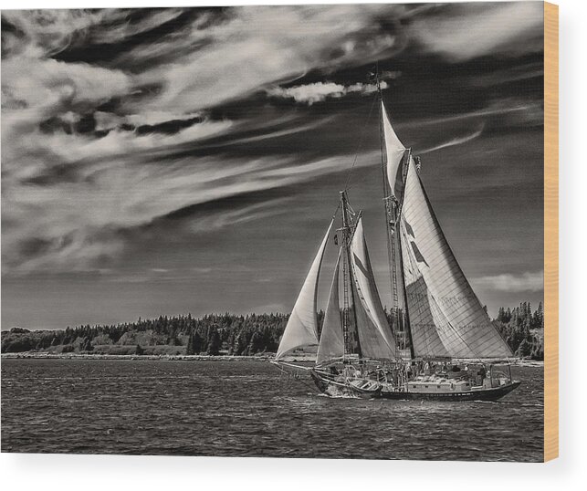 Windjammer Wood Print featuring the photograph Bowditch No. 1 by Fred LeBlanc