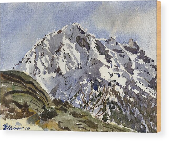 Switzerland Wood Print featuring the painting Bristenstock Mtn by David Gilmore