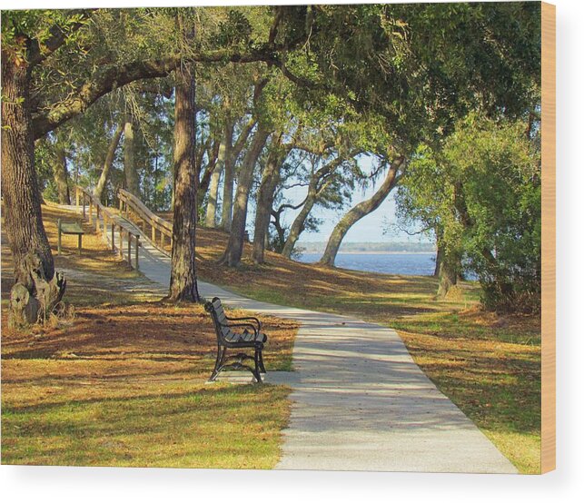 War Wood Print featuring the photograph Brunswick Town by Cynthia Guinn