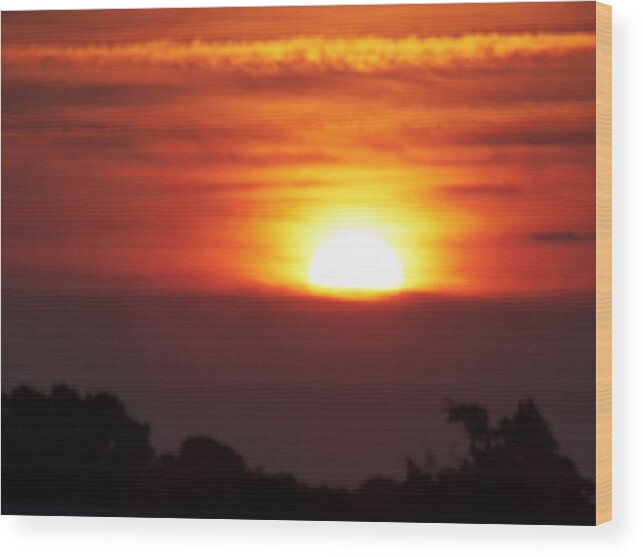 Landscape Wood Print featuring the photograph Brushstrokes at Dawn by Condor   