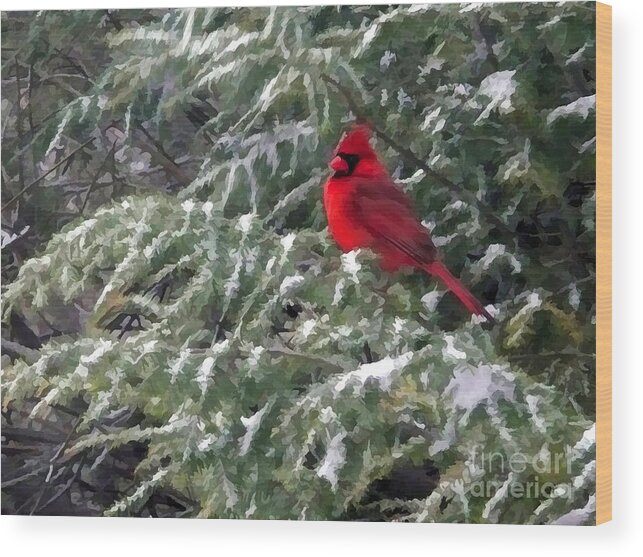 Cardinal Wood Print featuring the digital art Cardinal in Snow by Jayne Carney