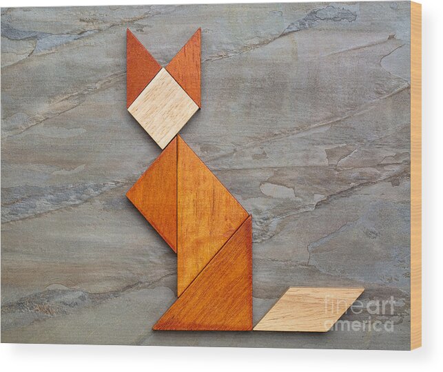 Chinese Wood Print featuring the photograph Cat Figure - Tangram Abstract by Marek Uliasz