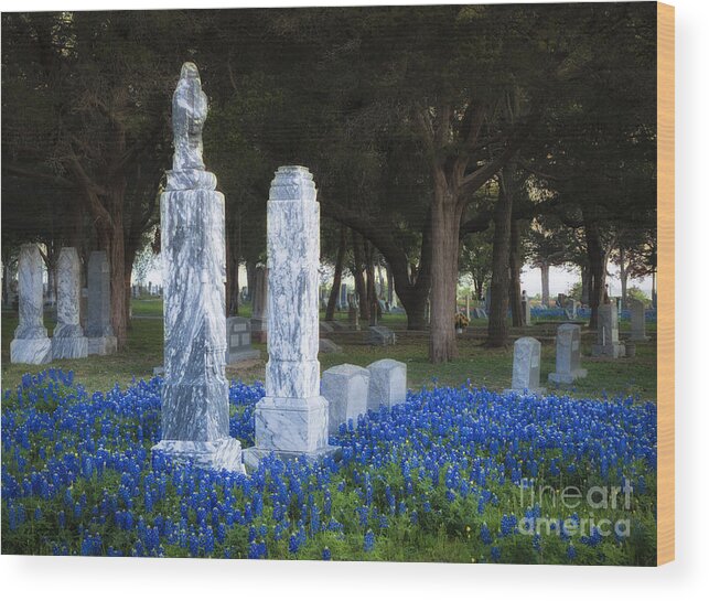 Cemetery Wood Print featuring the photograph Cemetery Bluebonnets by Richard Mason