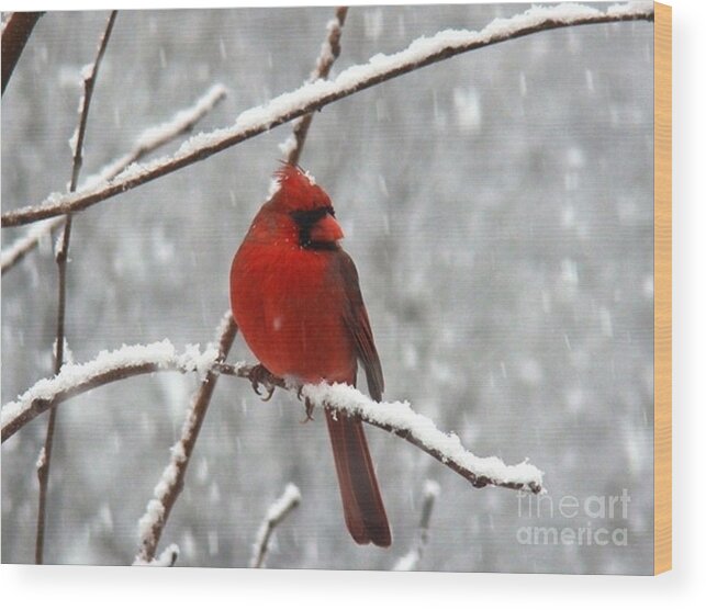 Christmas Wood Print featuring the photograph Christmas Eve by Leea Baltes