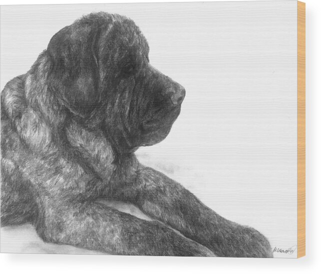 Dog Wood Print featuring the drawing Diesel - Bull mastiff by Meagan Visser