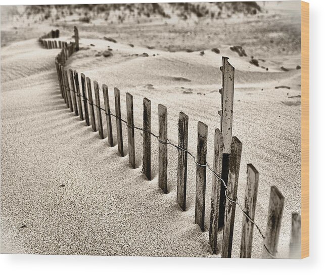 Beach Wood Print featuring the photograph Drift III by Brett Maniscalco