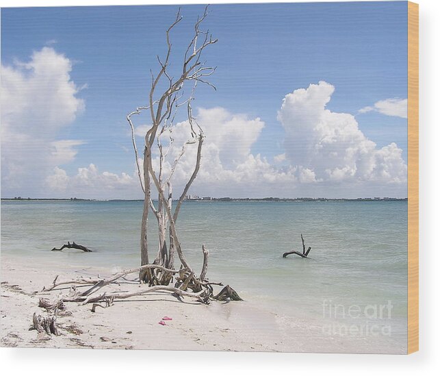 Driftwood Wood Print featuring the photograph Driftwood by Carol Bradley