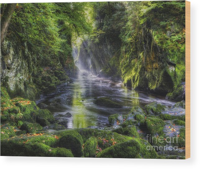 Water Wood Print featuring the photograph Fairy Glen by Ian Mitchell