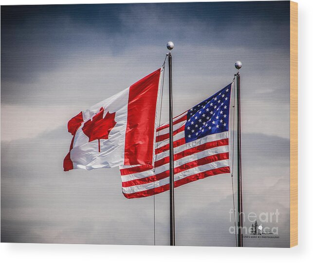 Duo Wood Print featuring the photograph Flag Duo by Grace Grogan