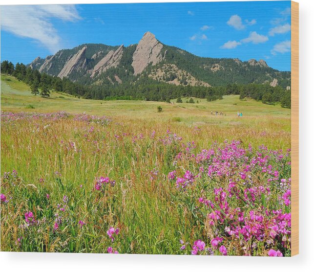 Photo Wood Print featuring the photograph The Flatirons Colorado #1 by Dan Miller