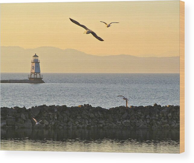 Digital Photography Wood Print featuring the photograph Fly By by Mike Reilly