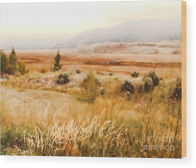Landscape Wood Print featuring the photograph Fog Across The Valley by Robert Kleppin