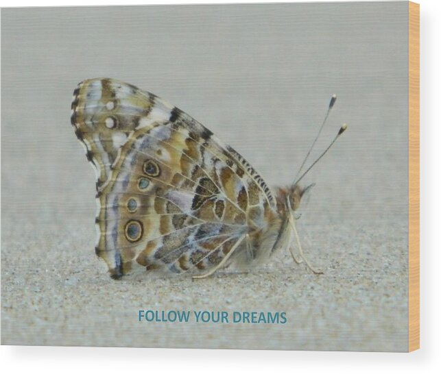 Moth Wood Print featuring the photograph Follow Your Dreams by Gallery Of Hope 