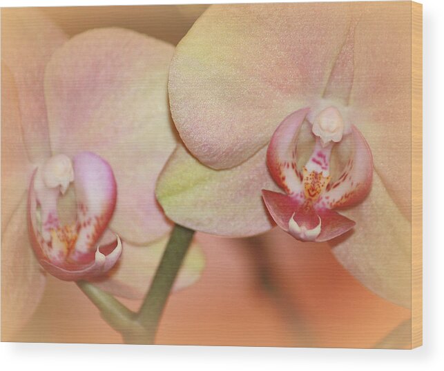 Always Wood Print featuring the photograph Forever Orchids by The Art Of Marilyn Ridoutt-Greene
