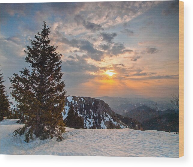 Landscapes Wood Print featuring the photograph Fresh morning by Davorin Mance