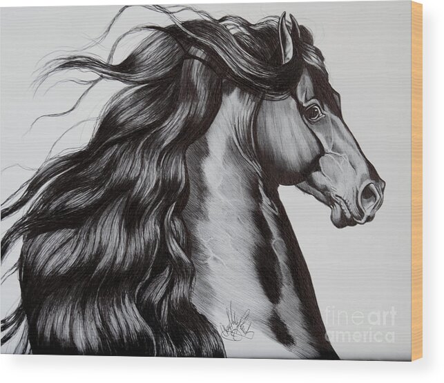 Horse Art Wood Print featuring the drawing Friesian Head Shot by Cheryl Poland