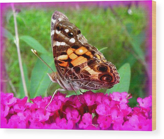 Fritillary Butterfly Wood Print featuring the photograph Fritillary Butterfly by Kim Galluzzo