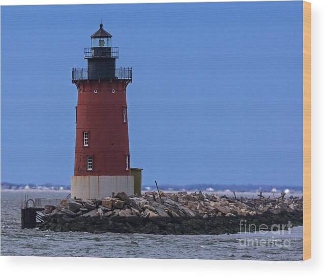Lighthouse Wood Print featuring the photograph From Henlopen Point 1 by Robert Pilkington