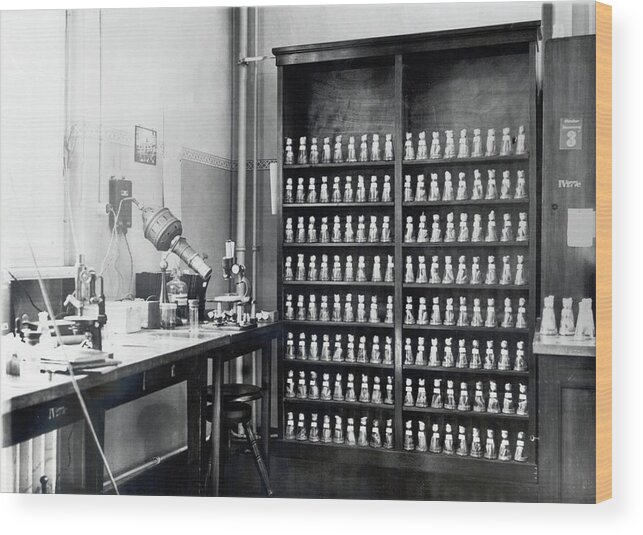 Equipment Wood Print featuring the photograph Genetics Research Fly Room by American Philosophical Society