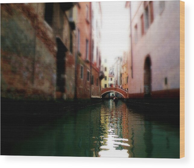 Gliding Along The Canal Wood Print featuring the photograph Gliding Along the Canal by Micki Findlay
