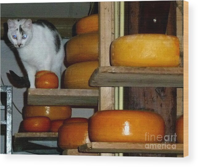 Travel Wood Print featuring the photograph Guarding Cheese by Anna and Sergey