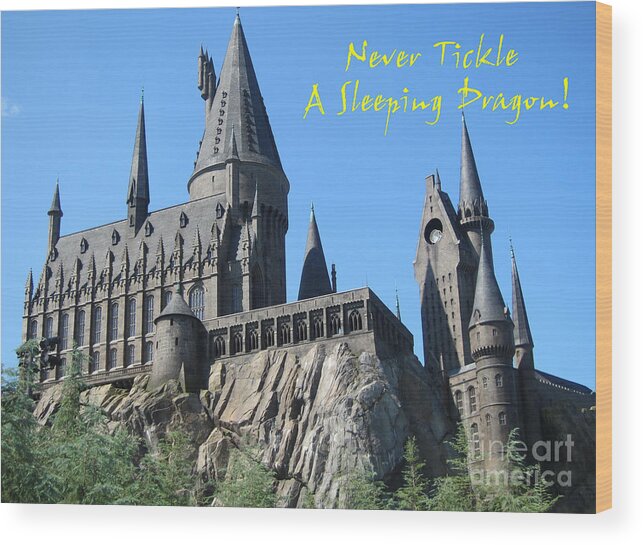 Harry Potter Wood Print featuring the photograph Hogwarts at Orlando, Florida by Marguerita Tan