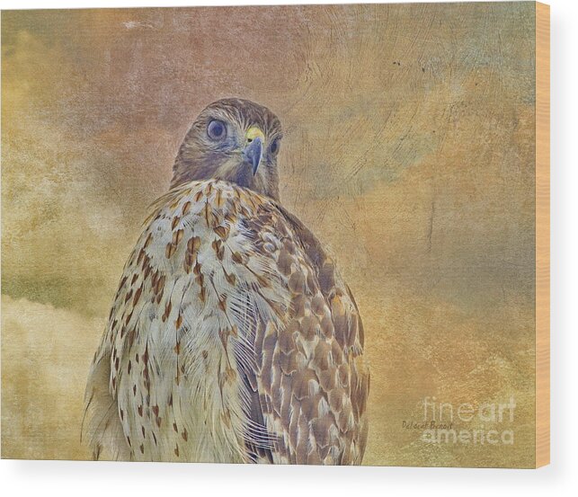 Hawk Wood Print featuring the photograph Hawk Energy by Deborah Benoit