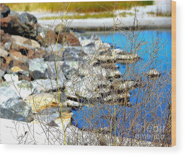 Hereford Wood Print featuring the photograph Hereford Inlet Rock Formations by Pamela Hyde Wilson
