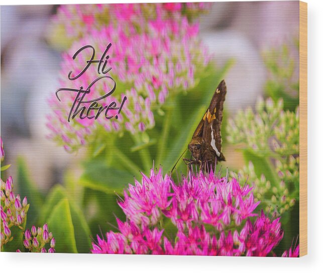 Hi There Greeting Card. Butterfly. Pink Flowers. Green Leaves. Photography. Word Art. Nature. Wildlife. Print. Wood Print featuring the photograph Hi There by Mary Timman