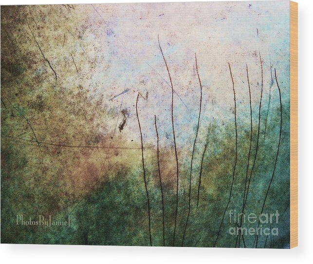 Bronze Wood Print featuring the photograph Hidden in the Reeds by Jamie Johnson