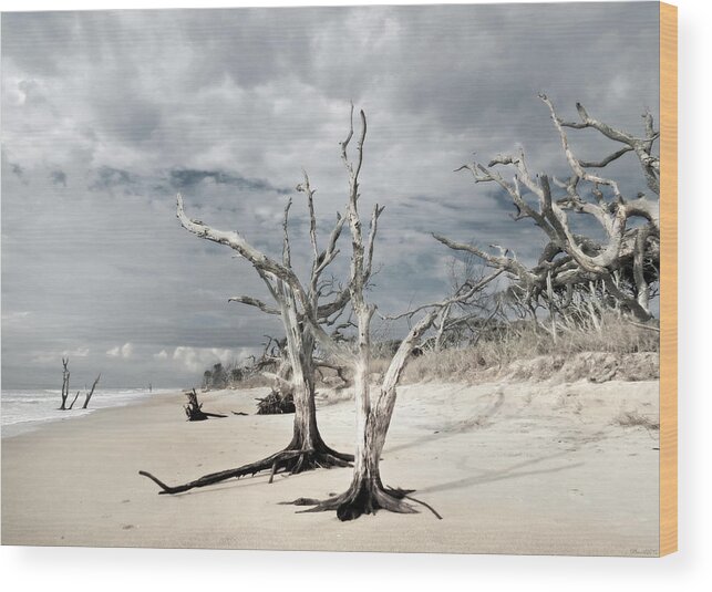 Landscape Wood Print featuring the photograph Hobcaw Boneyard Beach 2 by Deborah Smith