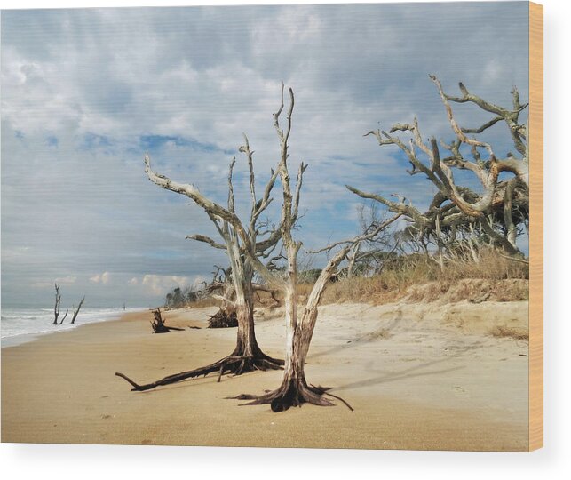 Landscape Wood Print featuring the photograph Hobcaw Boneyard Beach by Deborah Smith