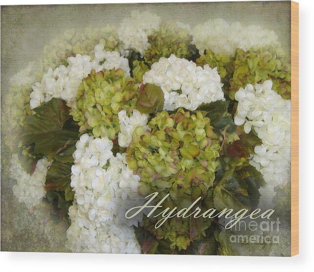  Wood Print featuring the photograph Hydrangea by Lee Owenby