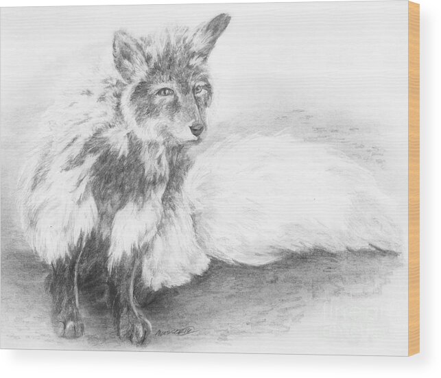 Fox Wood Print featuring the drawing In Transition by Meagan Visser