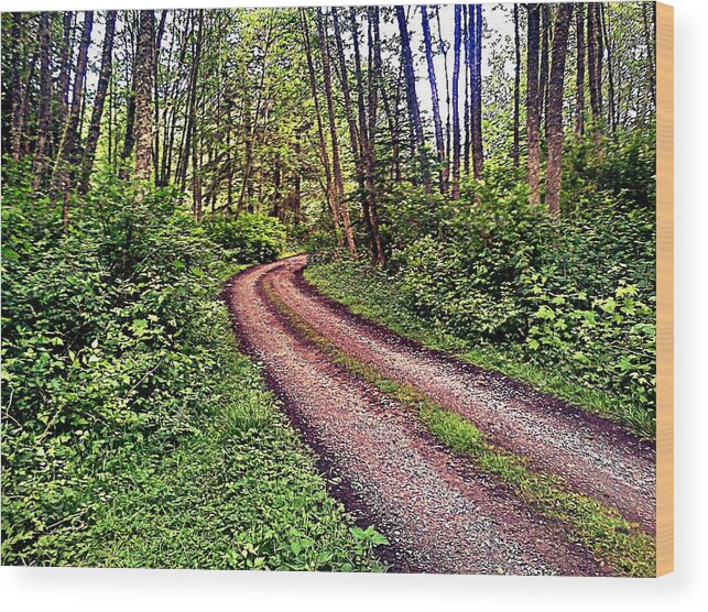 Trail Wood Print featuring the photograph Journey by Kevin D Davis