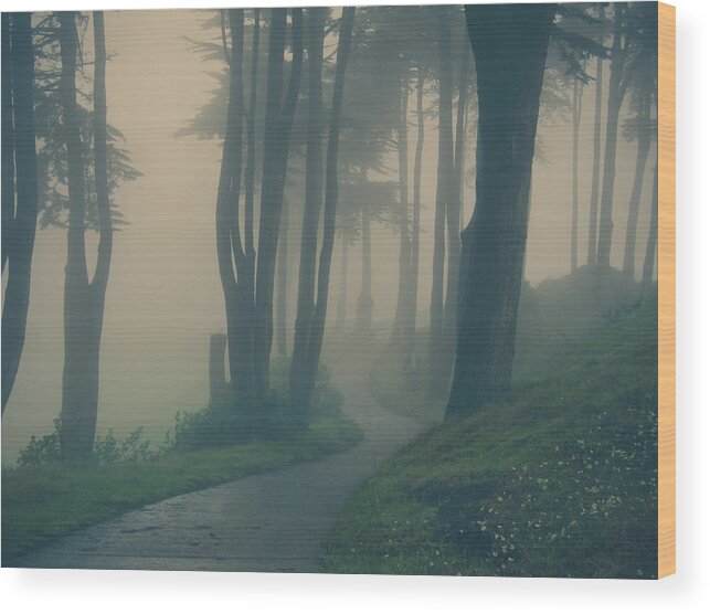 San Francisco Wood Print featuring the photograph Just Whisper by Laurie Search