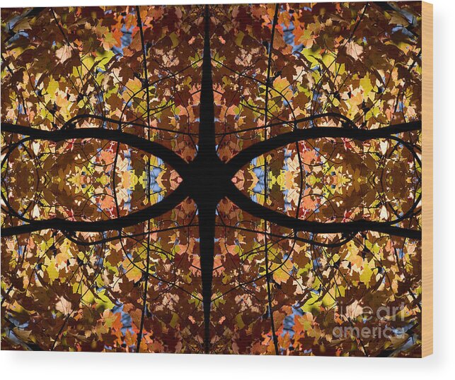 Kaleidoscope Wood Print featuring the photograph Kaleidoscope by Steven Ralser