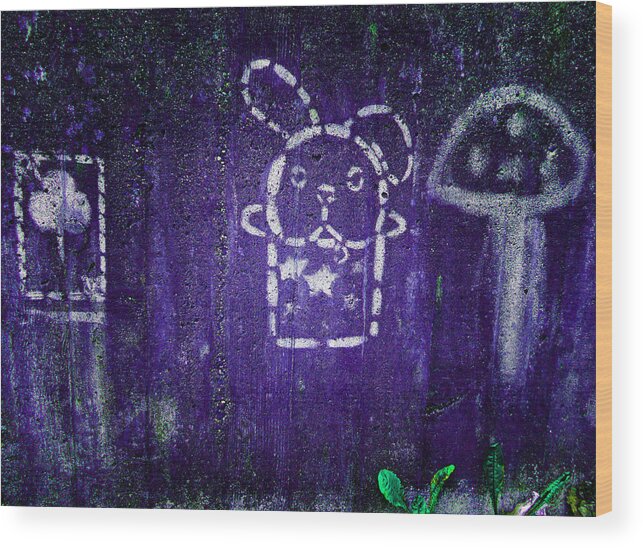 Graffiti Wood Print featuring the photograph Kids' Wall 2 by Laurie Tsemak