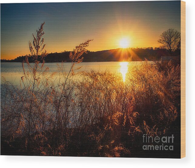 Lake Hopatcong Wood Print featuring the photograph Lakeside Sunset by Mark Miller