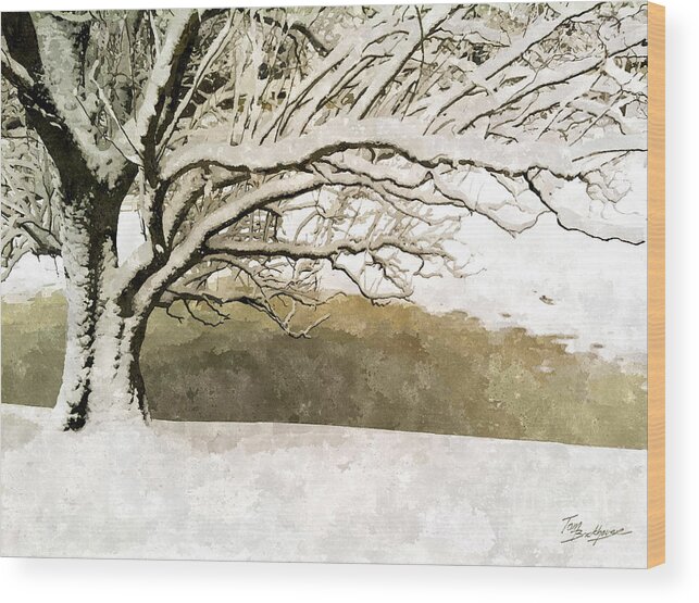 Snow Wood Print featuring the photograph Late March Snow by Tom Brickhouse