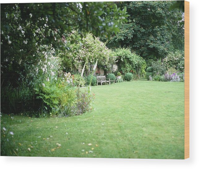 Garden Wood Print featuring the photograph Lawn by Rachel Warne/science Photo Library