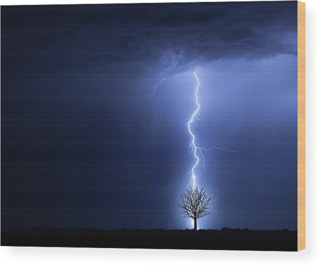 Damaged Wood Print featuring the photograph Lightning And Tree by Don Farrall