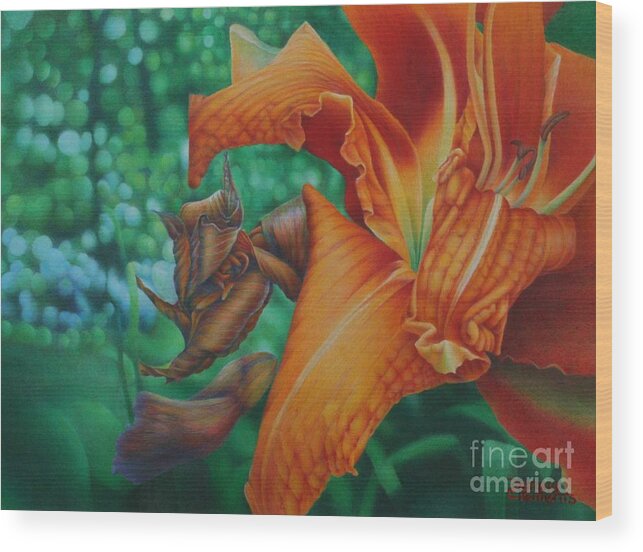 Orange Wood Print featuring the drawing Lily's Evening by Pamela Clements