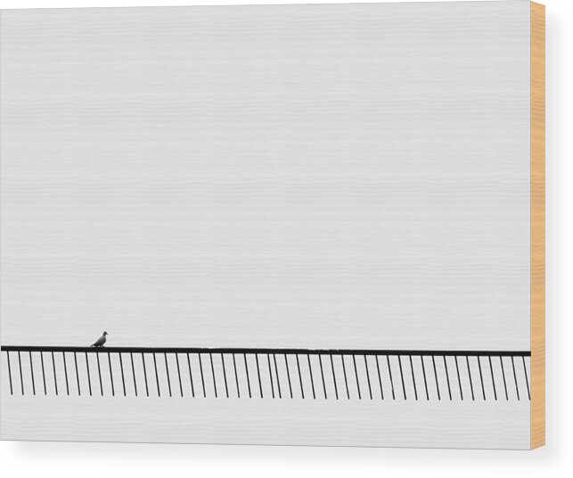 Minimalism Wood Print featuring the photograph Living on the Edge by Prakash Ghai