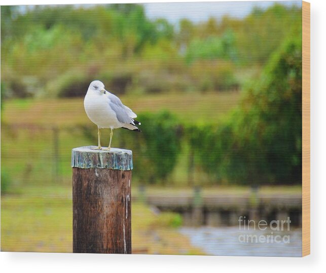 Bird Wood Print featuring the photograph Lonely Bird by Debbi Granruth