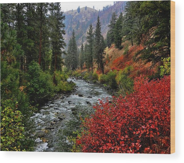 Landscape Wood Print featuring the photograph Loon Creek in fall colors by Link Jackson